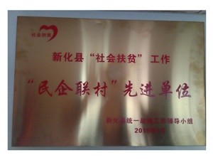 榮獲新化縣“民企聯村”先進單位