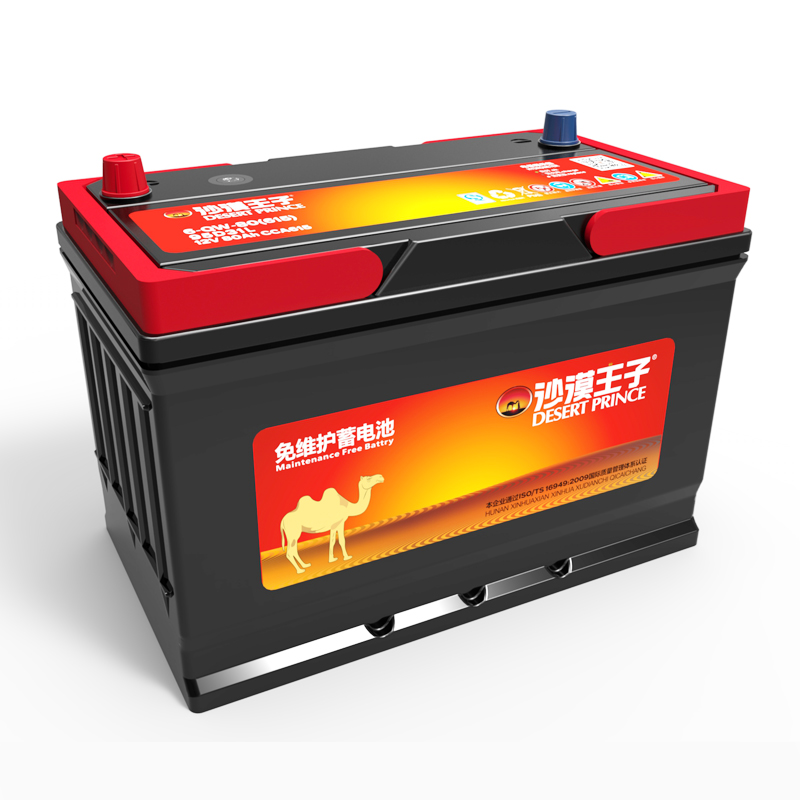 沙漠王子95D31R/L